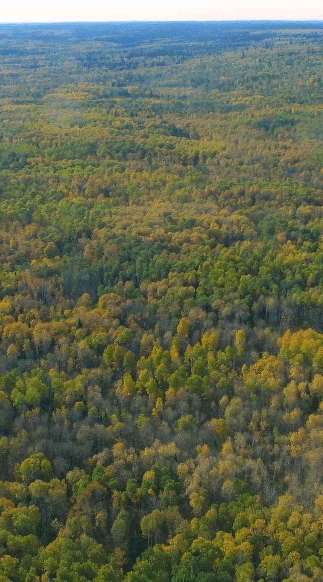 Photo of Parkline Outfitters in Duck Mountain, MB