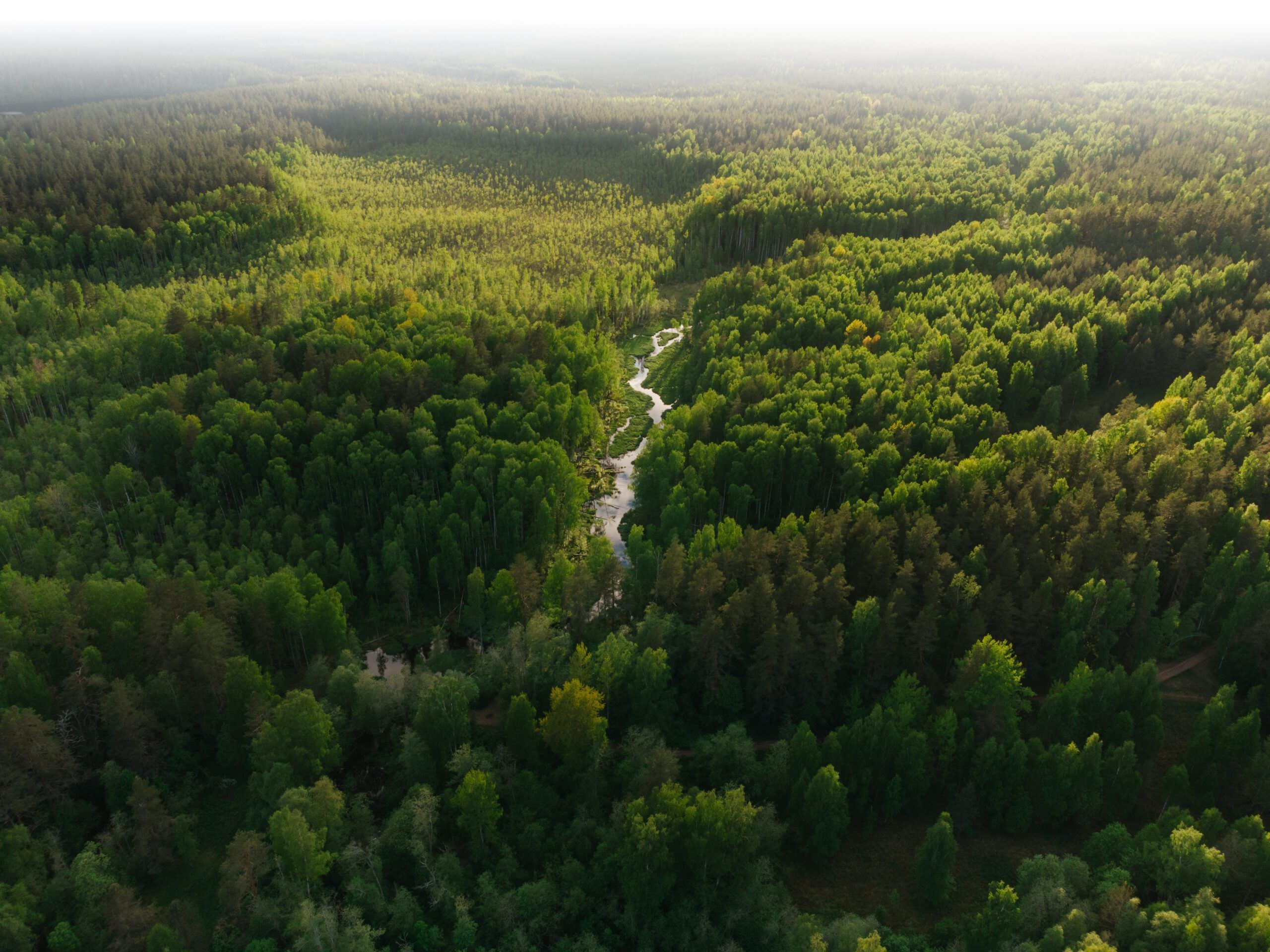Photo de Sandy River Outfitters dans la Région de la capitale de Winnipeg, Mb