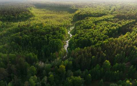 Photo de Sandy River Outfitters dans la Région de la capitale de Winnipeg, Mb
