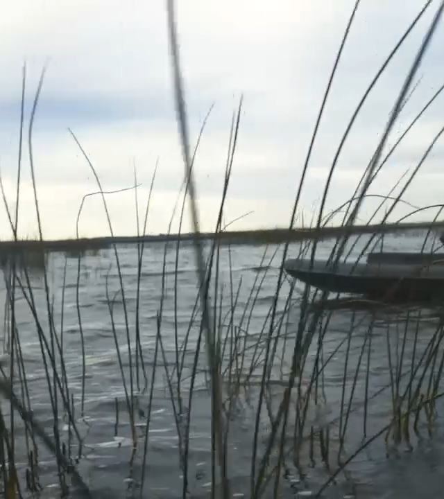 Photo of St. Ambroise Goose & Duck Club in Interlake, MB