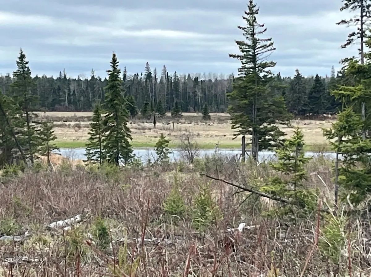 Photo of Turtle Mountain Outfitting in Westman, MB