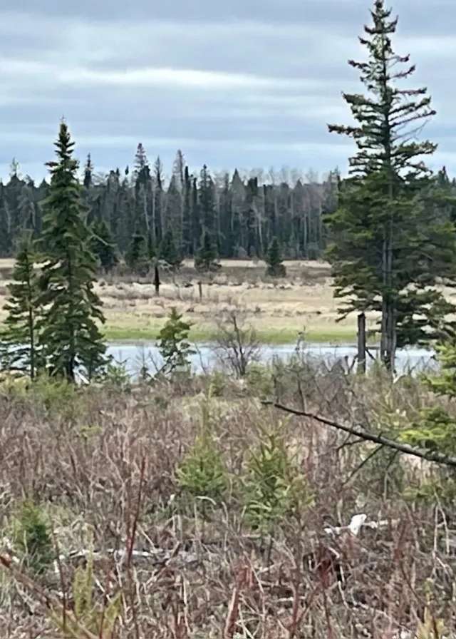 Photo of Turtle Mountain Outfitting in Westman, MB