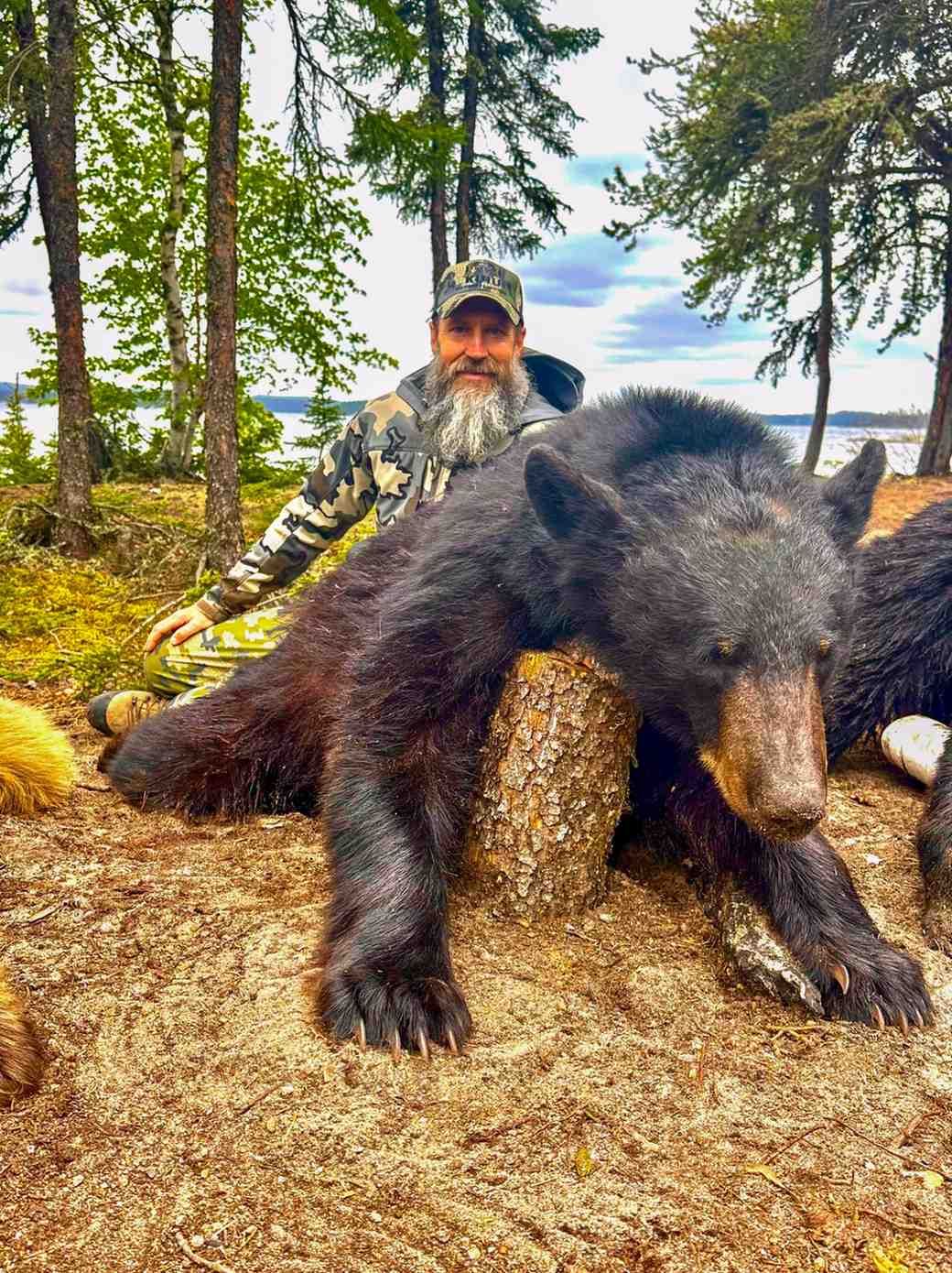 Cabin Lakefront Cabins — George Lake Outfitters – George Lake Outfitters