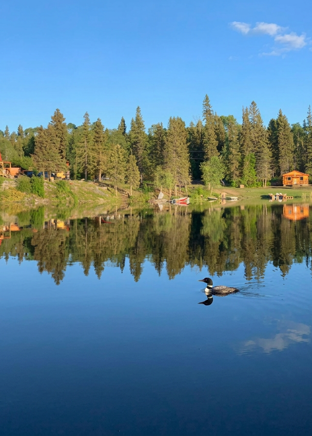 Photo de Neso Lake Lodge dans le Nord du Manitoba, Mb