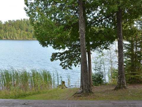 View of the lake from the cabin deck.