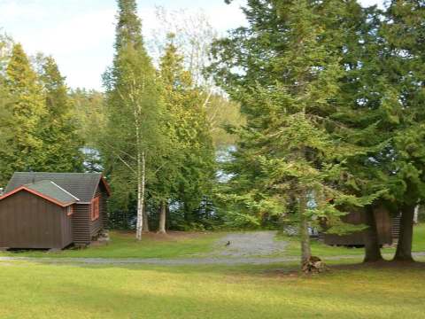 Exterior view of the cabin surrounded by mature trees near the lake.