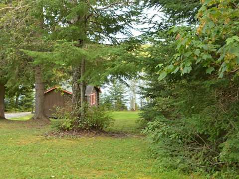 Cabin 5 is located at the edge of the forest with a partial view of the lake.