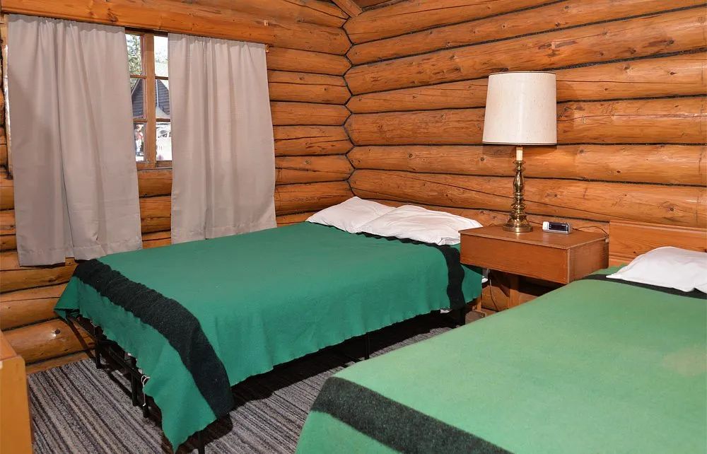 La chambre du chalet 9 dispose de deux lits avec une table de chevet et des murs en bois rond.
