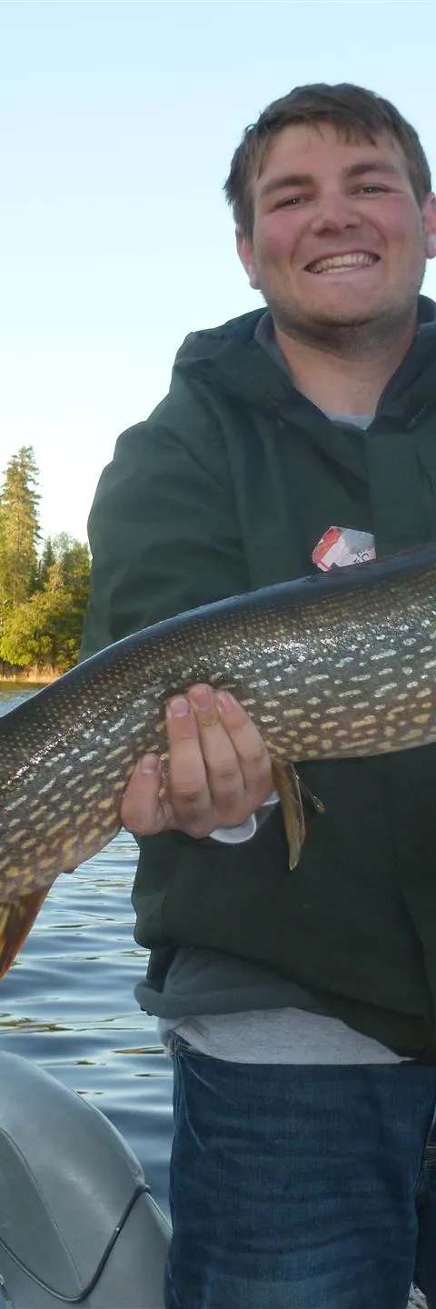 37-inch northern pike caught by Kaleb at Manotak Lodge, Sunset Country, Ontario