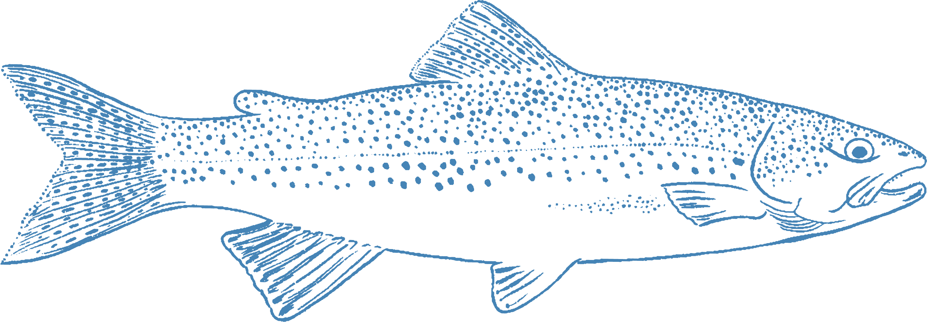 Trout Cabin – Trout Cabin