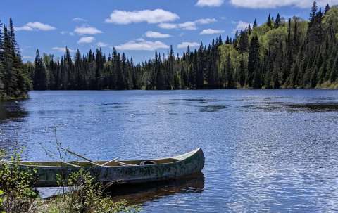Photo de Catfish Lakefront Cabins dans la Région d'Algoma, On