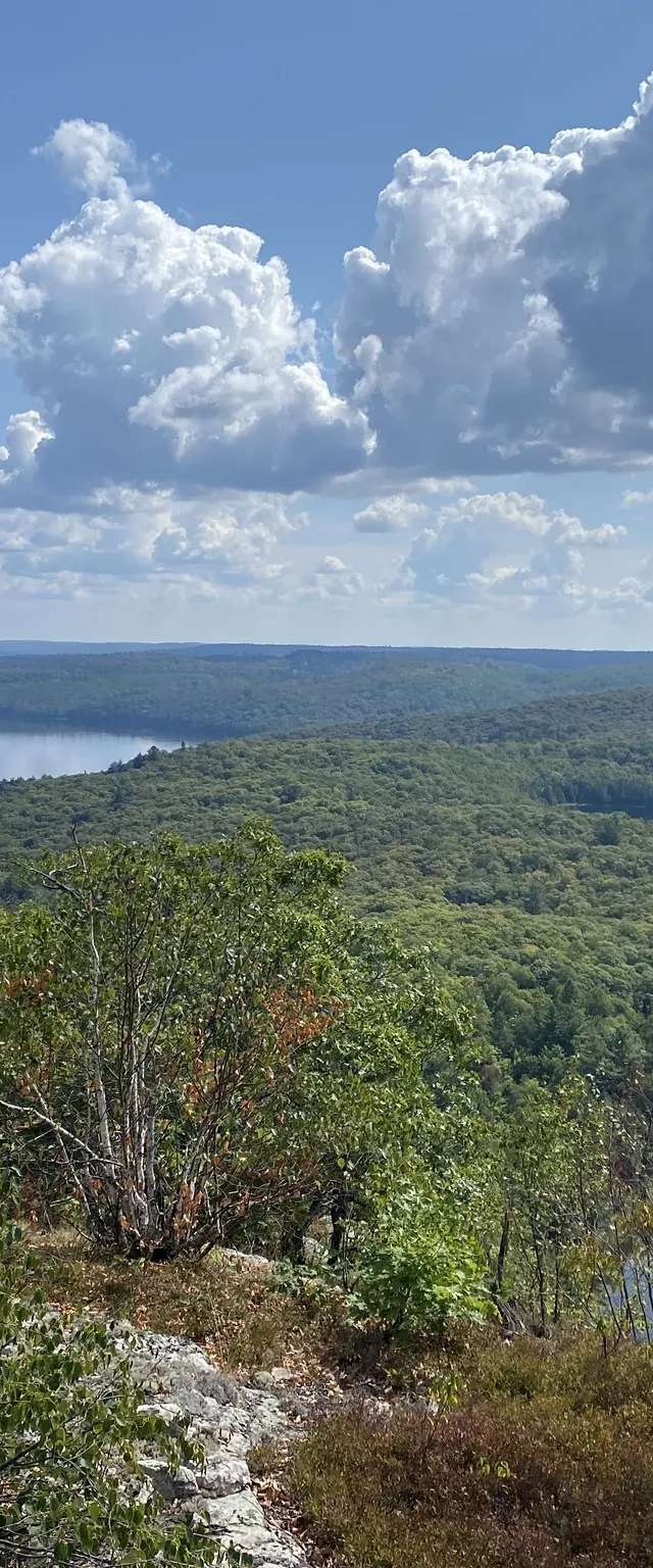 Photo of The Lodge at Ten Mile Lake in Algoma Country, ON