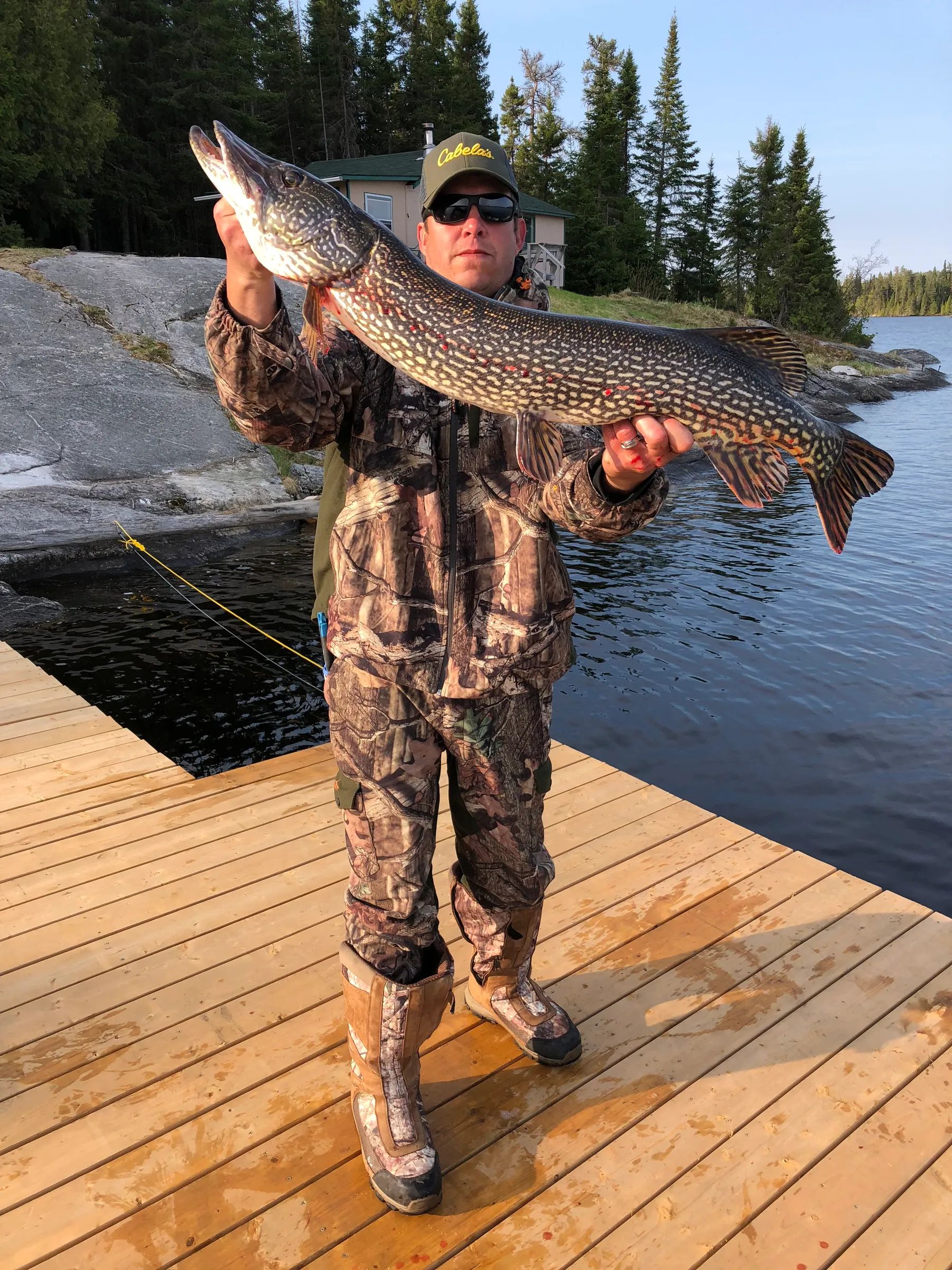 Cabin #5 – Cabin #5