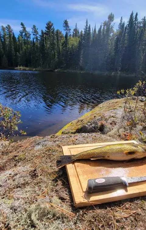 Pêcheurs fiers de leurs prises chez Air-Dale Fishing & Hunting, Région d'Algoma, Ontario