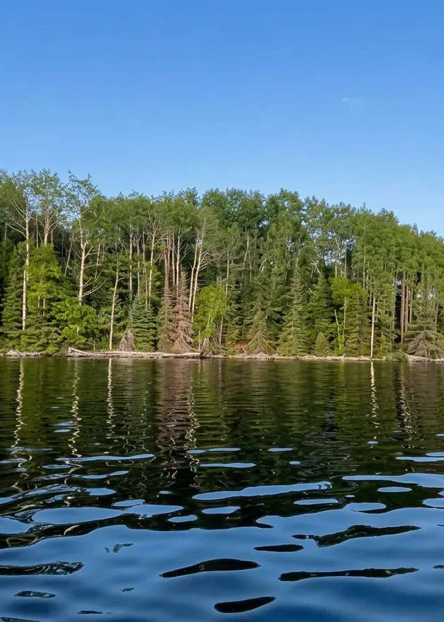 Photo of Hidden River Lodge in Algoma Country, ON