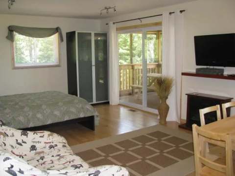 This spacious bedroom features a comfortable bed, a television, and direct access to the deck.