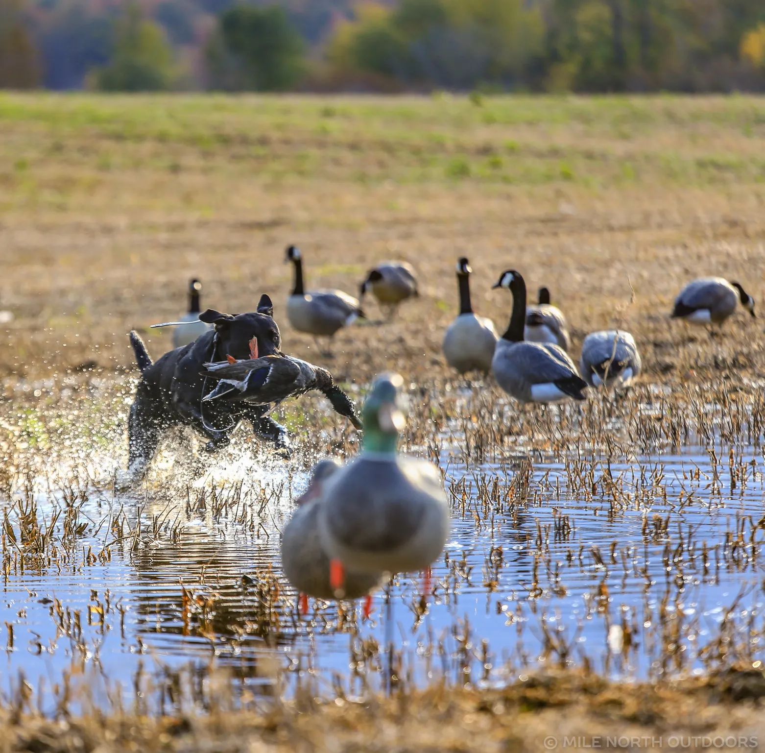 Photo of Wingfeather Outfitters in Bruce Peninsula, ON