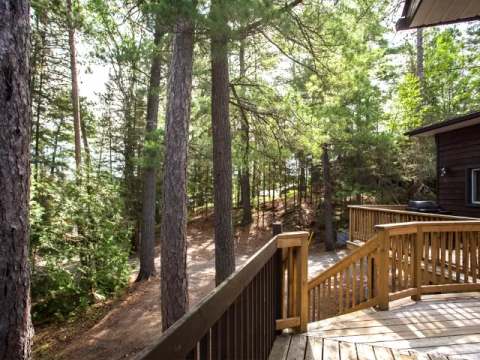 View from the suite's wooden deck surrounded by trees.