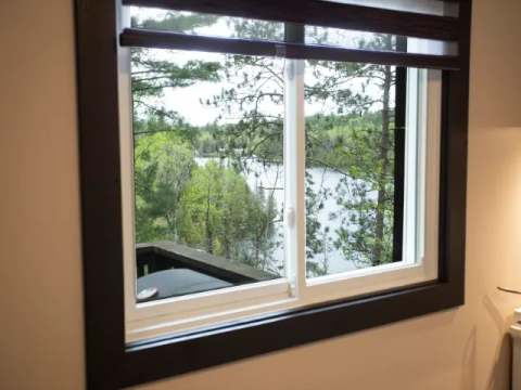 View of the lake and forest from the suite window.