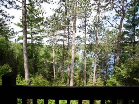 View of the forest and the lake from the suite's deck.