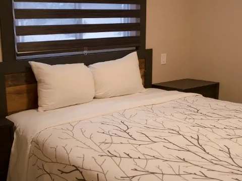 The family suite bedroom features a comfortable bed with branch-patterned bedding.