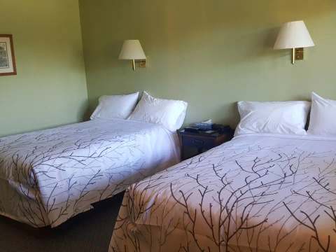 Cette unité de motel comprend deux lits simples avec une décoration aux tons naturels.
