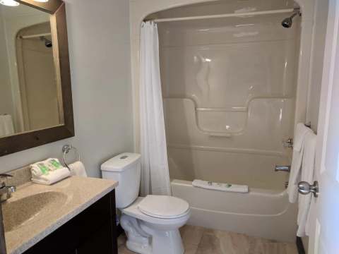 Cette salle de bain privée comprend une baignoire avec douche et un comptoir avec lavabo.