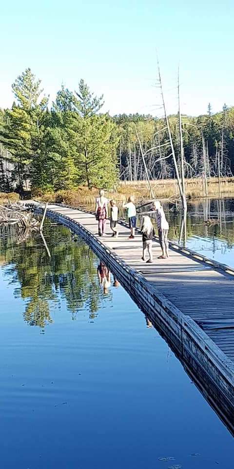 Sentier de randonnée pédestre en forêt chez Temagami Shores Inn and Resort, Temagami, Ontario