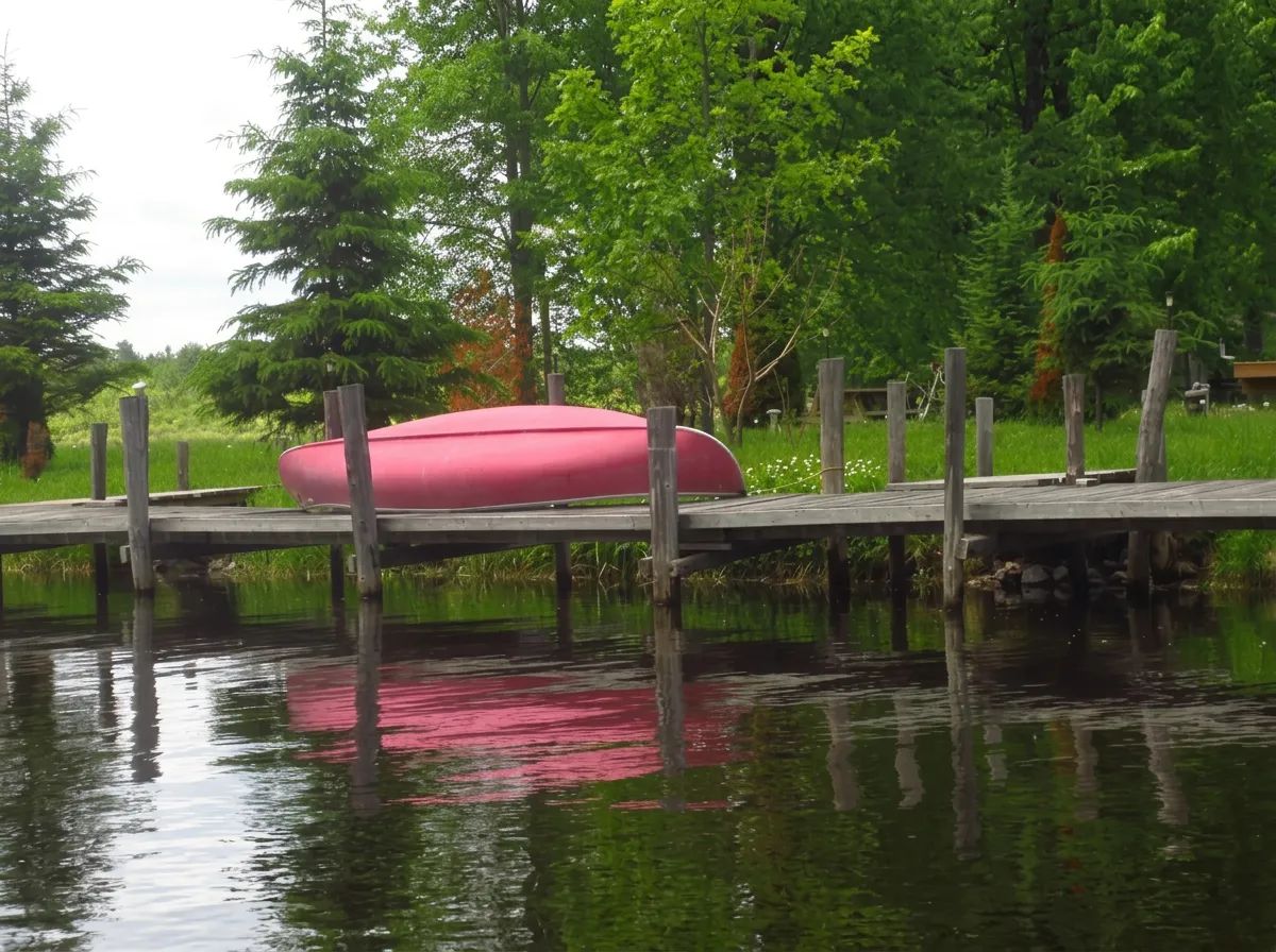 Forfaits de pêche au doré — Panorama Camp – Panorama Camp