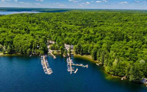 Photo of Little Hawk Resort and Marina in Haliburton Highlands, ON