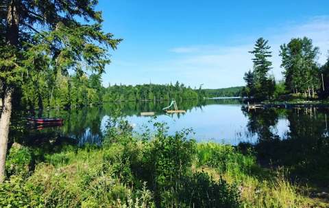Photo de Olive The Lake dans les Temagami, On