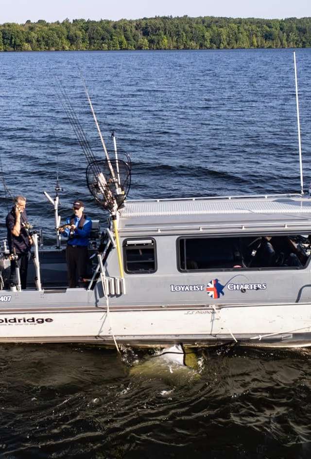 Photo de Loyalist Charters dans le Comté de Prince Edward, On