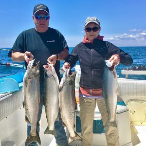 Chambre Comfort Inn — Blue Shark Charters – Blue Shark Charters