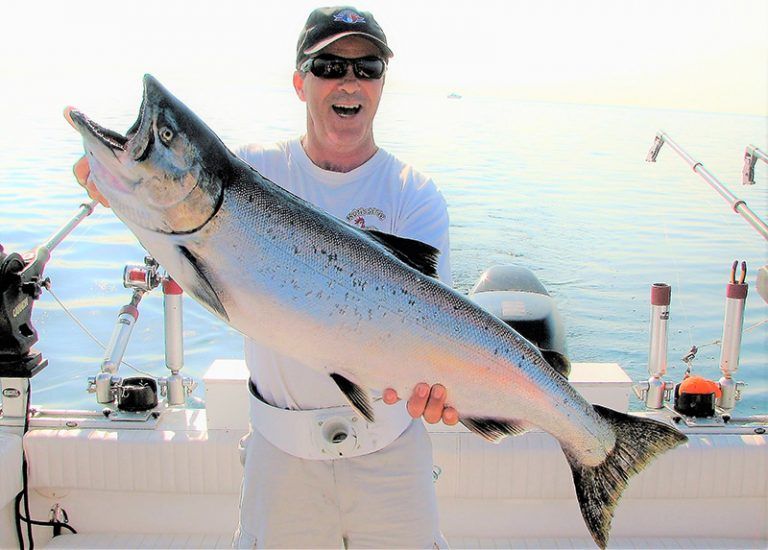 Chambre Comfort Inn — Blue Shark Charters – Blue Shark Charters