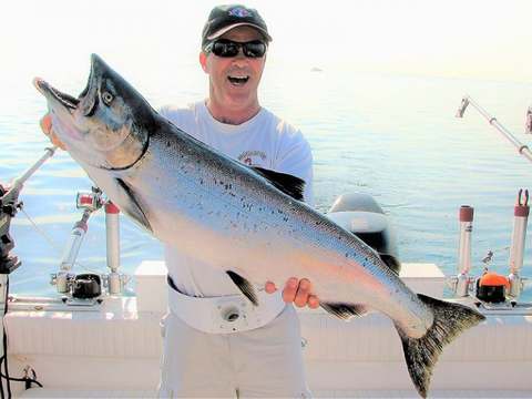 Comfort Inn – Blue Shark Charters