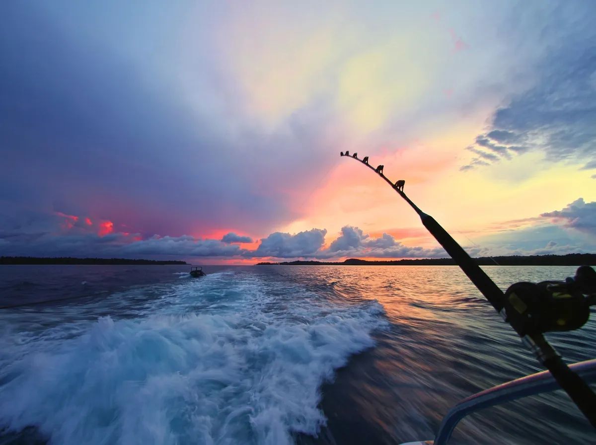 Photo de Blue Shark Charters en Ontario