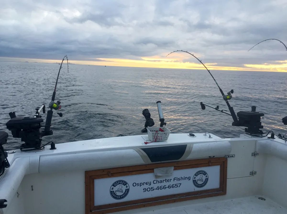 Photo de Osprey Charter Fishing en Ontario