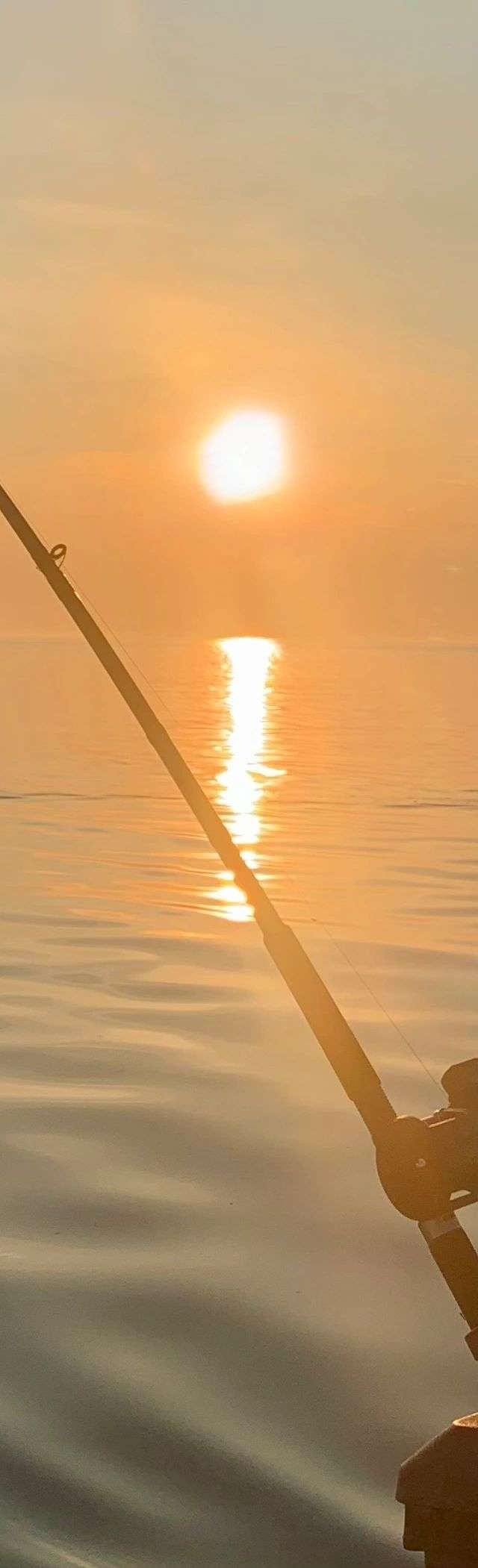 Photo of Dark30 Sportfishing in Ontario