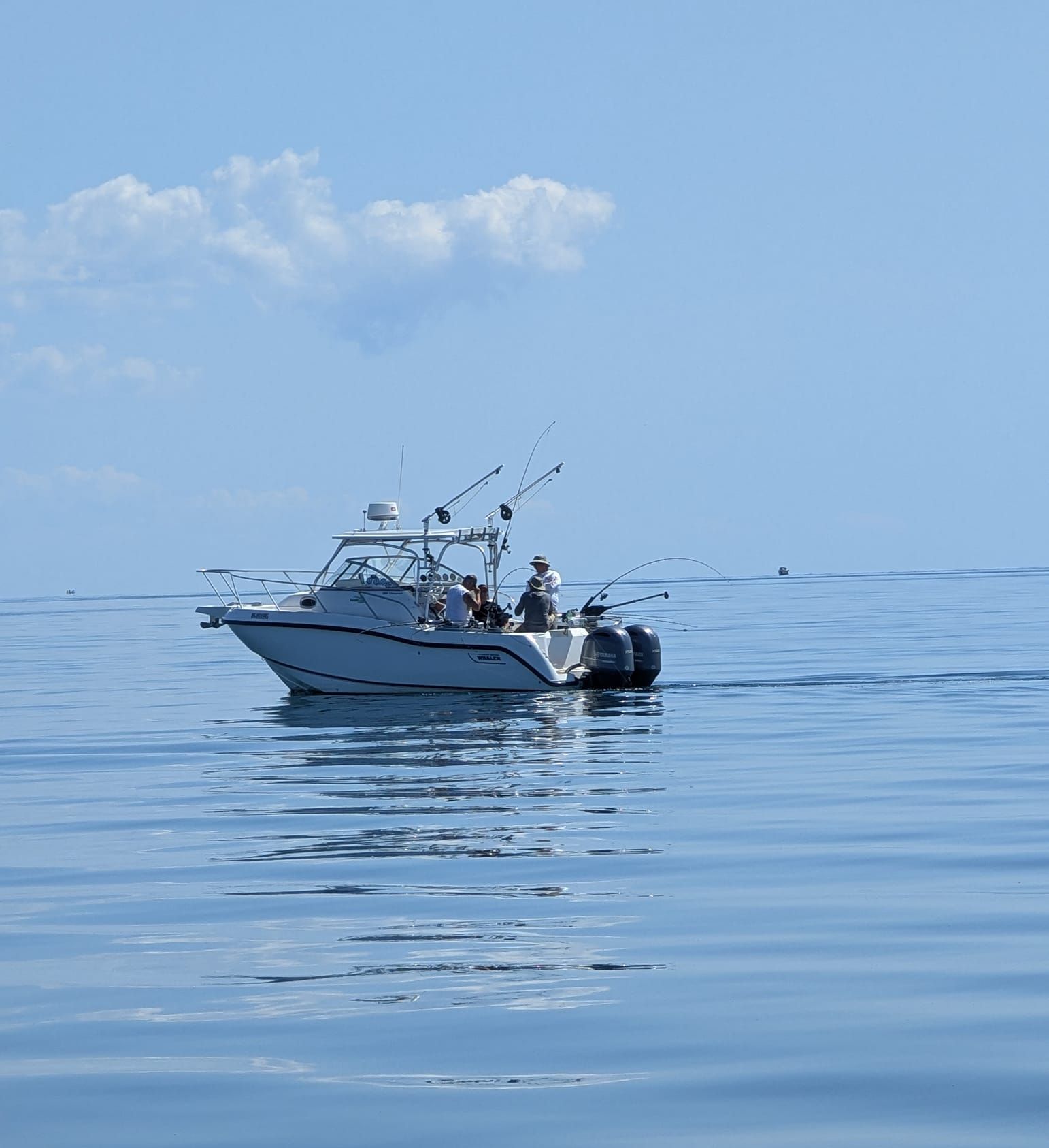 Fishing Charter - 26' Whaler — South Coast Charters – South Coast Charters