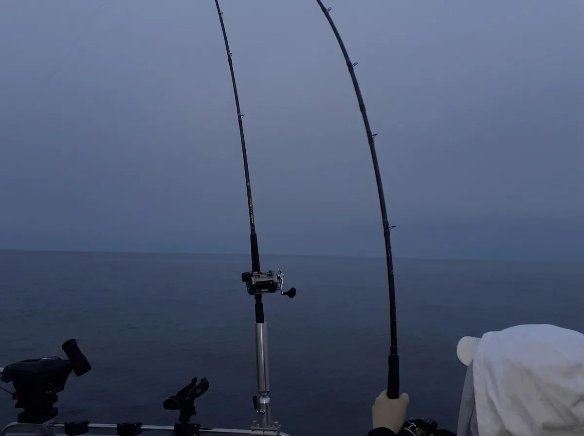 Photo of Lake Run Fishing in Ontario