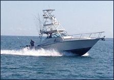 Forfaits de pêche sur glace — We Pound'Em Sport Fishing – We Pound'Em Sport Fishing