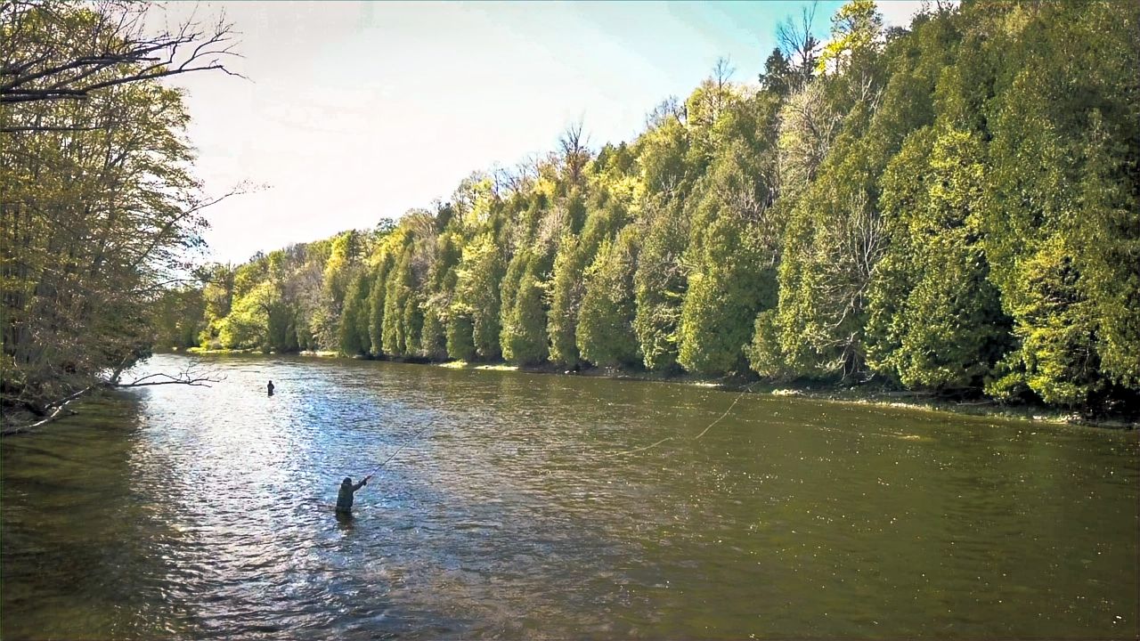 Excursion à pied et à gué d'une journée complète - Rivière Credit — River Run Guiding Co. – River Run Guiding Co.