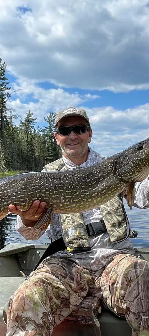 Duo de pêcheurs fiers de leurs belles prises de doré chez Horwood Lake Lodge, Région de Timmins, Ontario