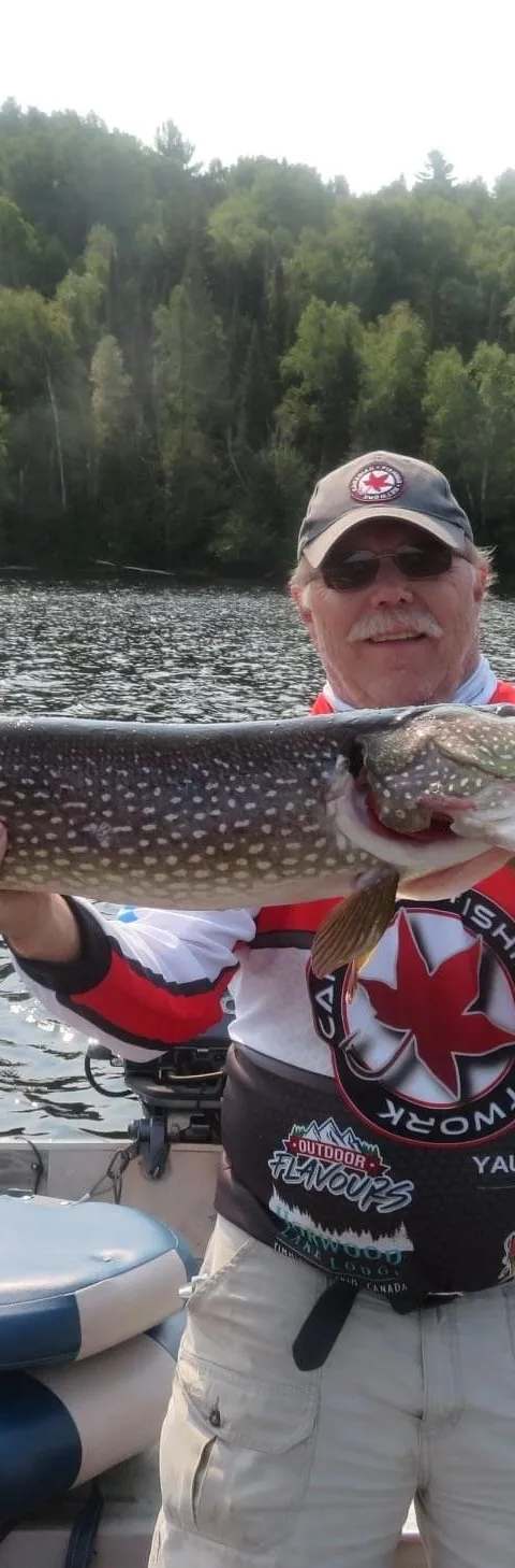 Pêcheur présentant son beau doré de la journée chez Horwood Lake Lodge, Région de Timmins, Ontario