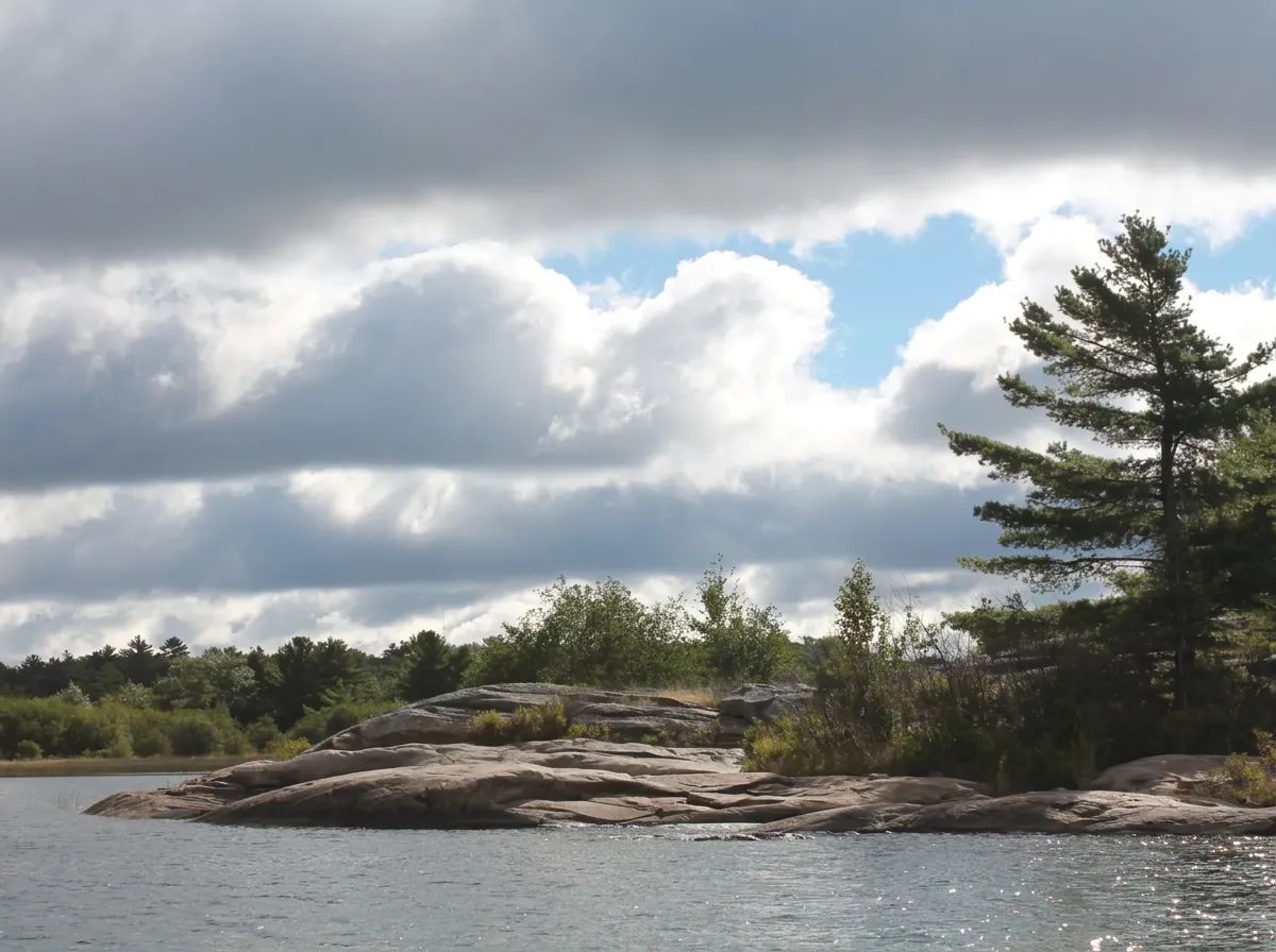 Photo de Bushey Angle Guided Fishing au Lac Simcoe, On