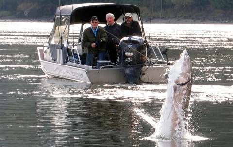 Photo of Sturgeon Hunter in Fraser Valley, BC