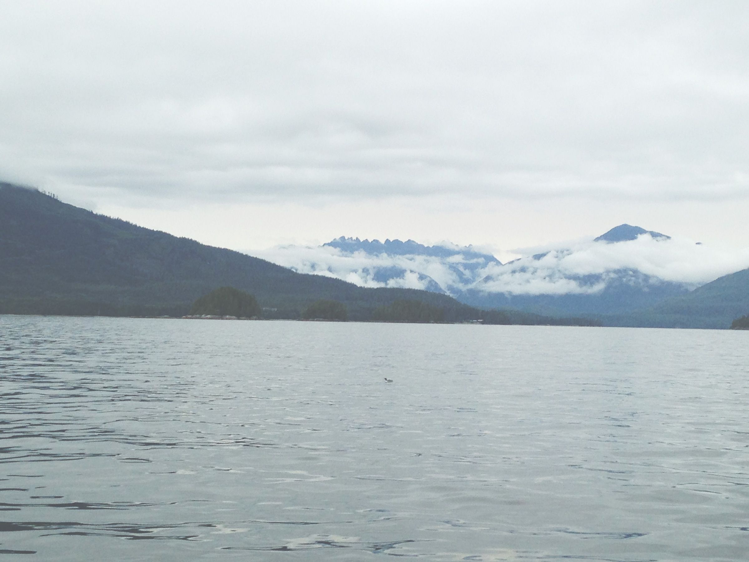Photo de Slivers Charters sur l'Île de Vancouver, Bc