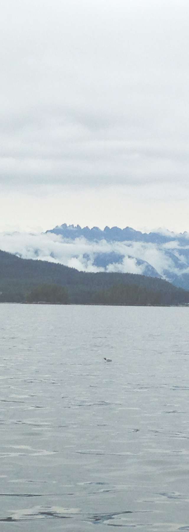 Photo de Slivers Charters sur l'Île de Vancouver, Bc