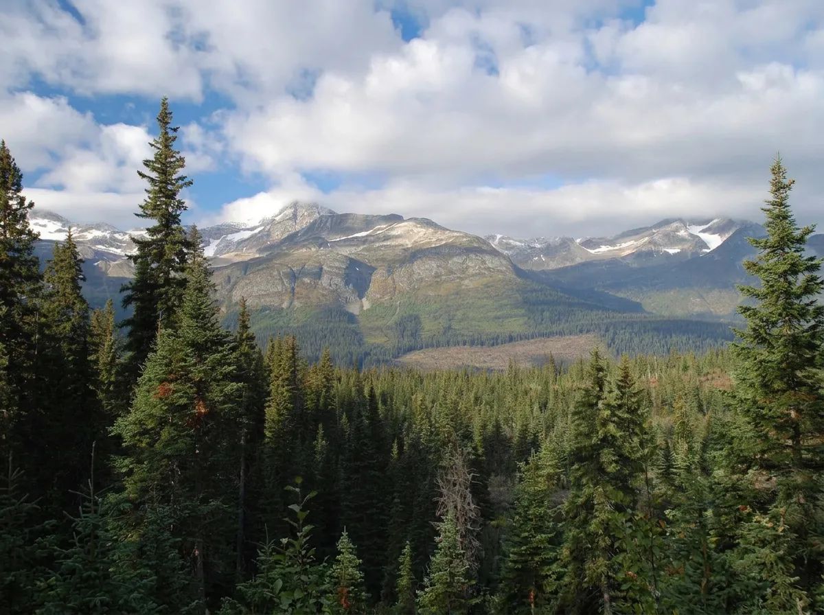 Photo of BC Guide Outfitters in Thompson, BC