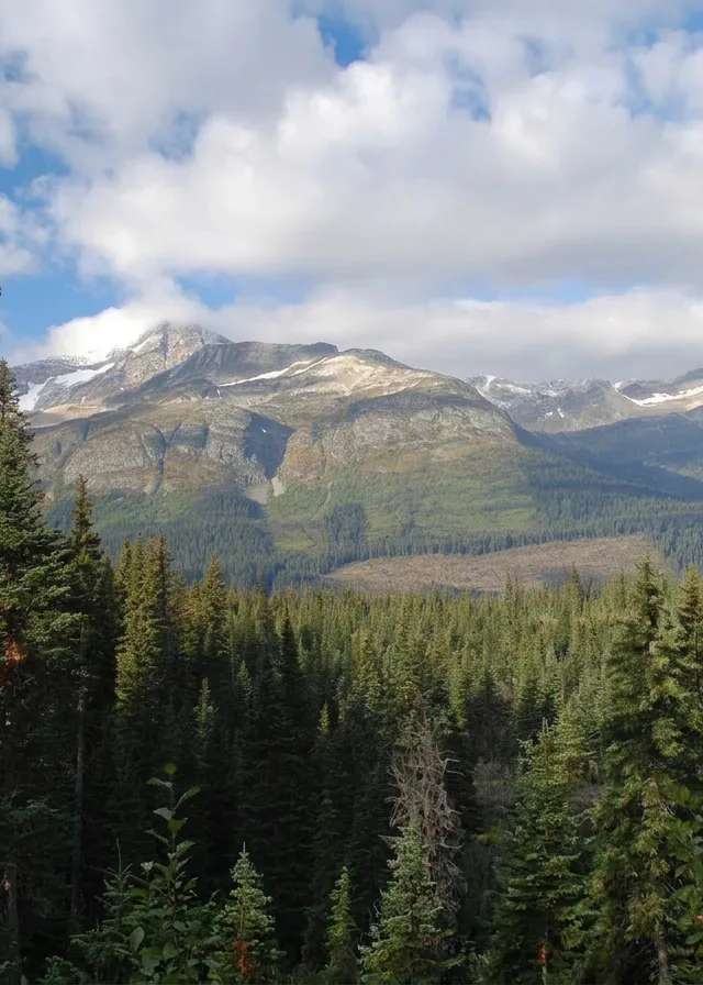 Photo de BC Guide Outfitters dans les Thompson, Bc